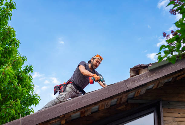 Best Asphalt Shingle Roofing  in Salem, AR