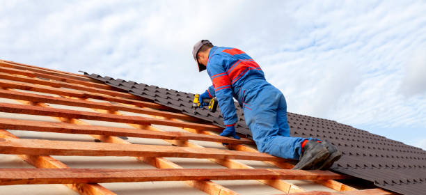 Best Solar Panel Roofing Installation  in Salem, AR