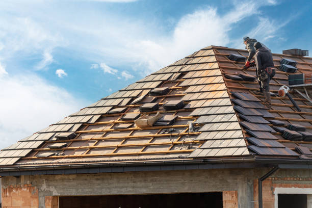 Best Gutter Installation and Repair  in Salem, AR