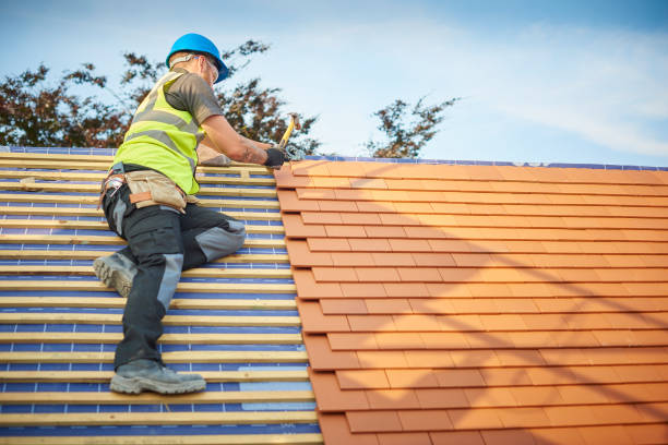 Best Emergency Roof Repair Services  in Salem, AR
